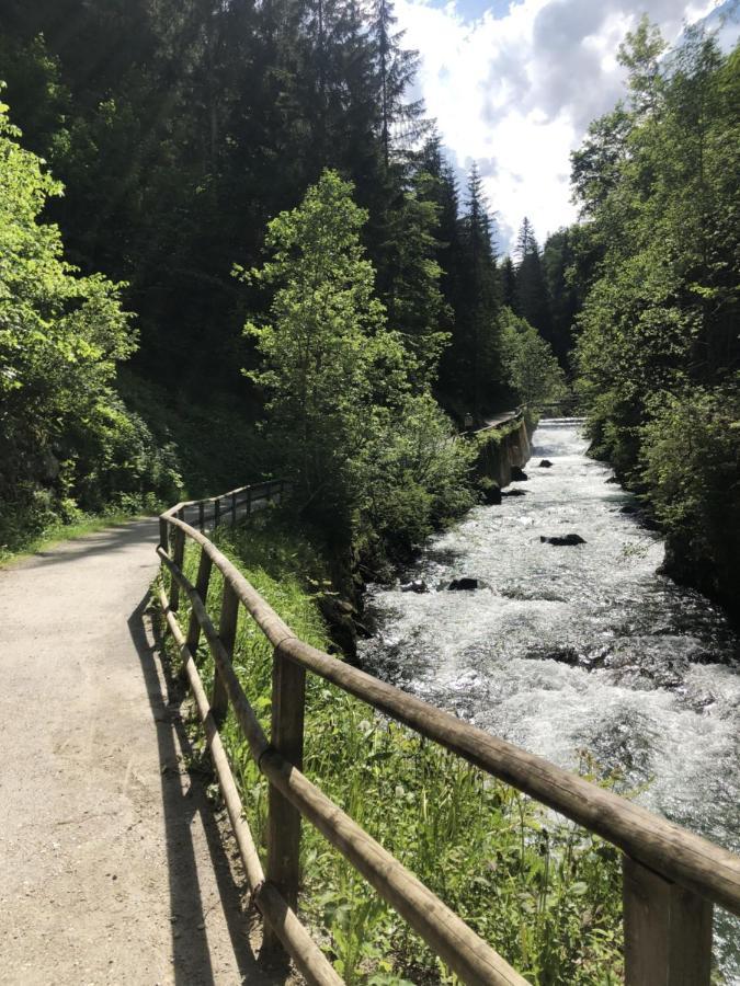 Mei-So-Nett Appartement Hutegger Schladming Exteriör bild