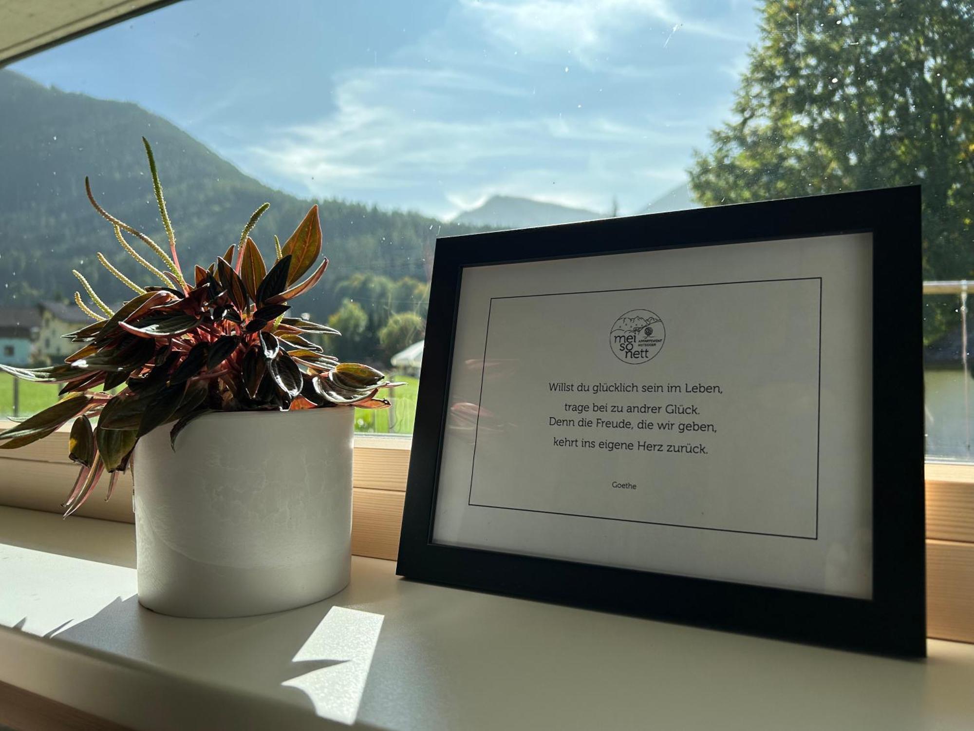 Mei-So-Nett Appartement Hutegger Schladming Exteriör bild